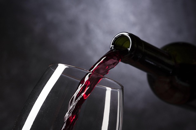 Argentina Journeys Rich in wine, open roads, and graceful city living