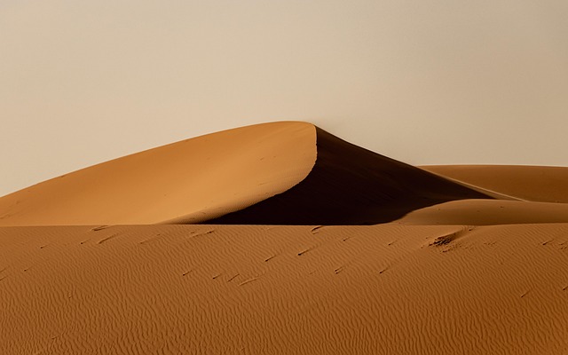 Egypt Hotels That feel warm, expansive, and holiday-ready