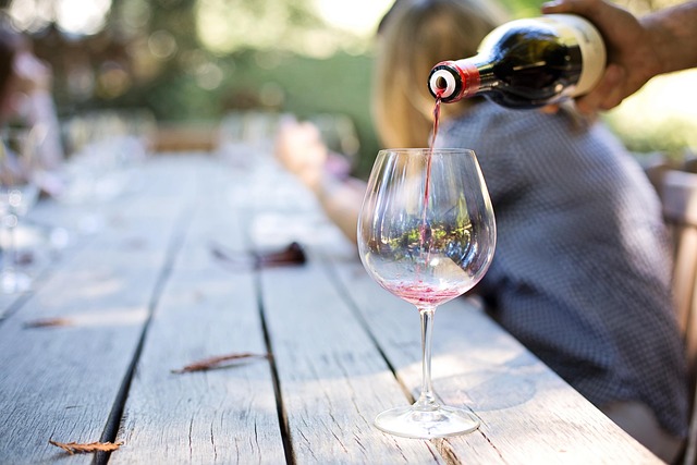 Georgian Journeys Poured Through Wine, Hills, and Mountain Warmth