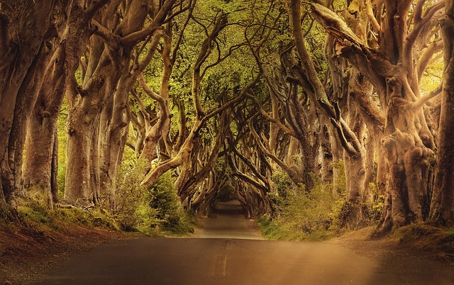 Ireland Hotels That feel welcoming, scenic, and deeply restful