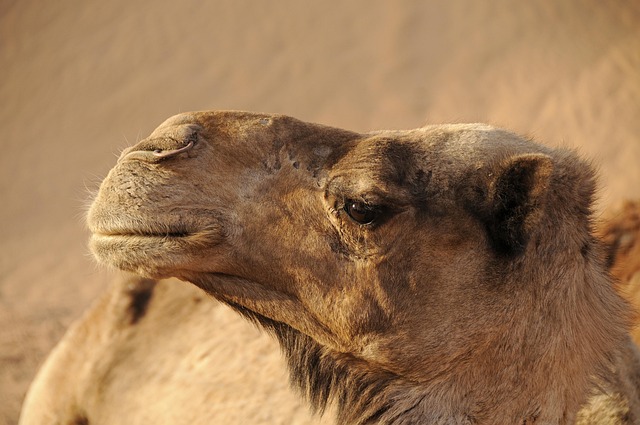 Luxury Morocco Travel Ideas for Design, Markets, and Warmth