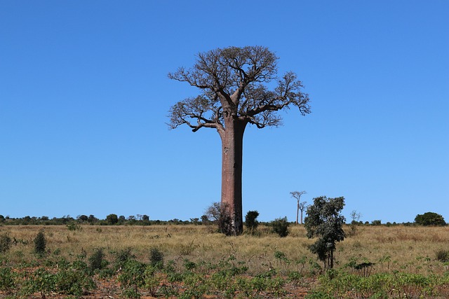 Madagascar Hotels That feel intimate, unusual, and memorable