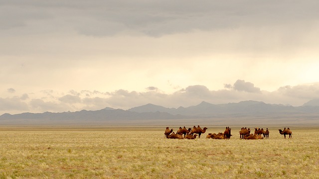 Mongolia Resorts That make remote travel feel astonishingly comfortable