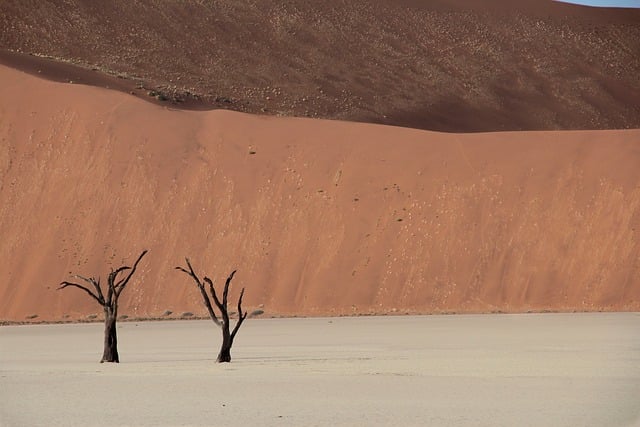 Namibia Escapes That feel cinematic, isolated, and strangely calming