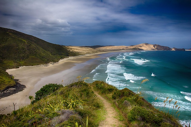 New Zealand Hotels With scenery so strong the room becomes secondary