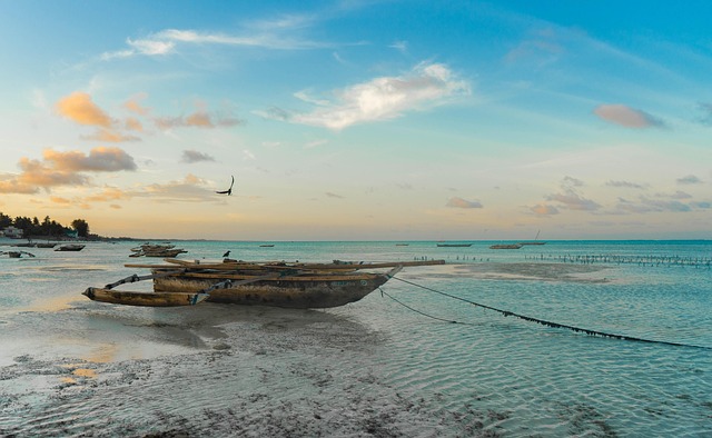 Private Villas in Tanzania for Island Warmth and Ocean Beauty