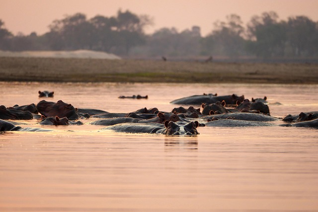 Riverfront Villas in Zambia for Scenic Rest and Warm Hospitality