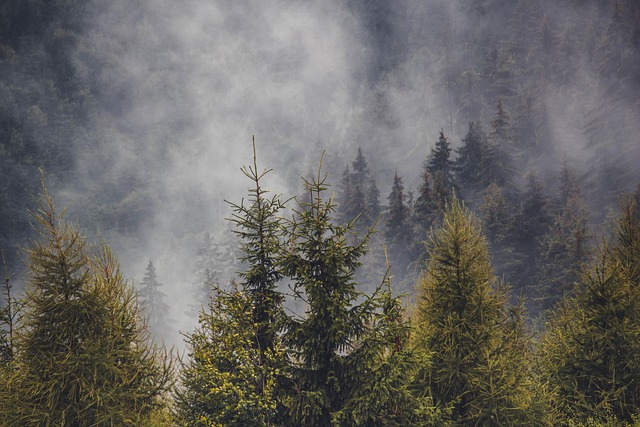 Scenic Villas in Romania for Mountains, Forests, and Privacy