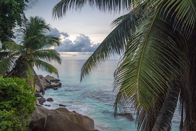Seychelles Hotels Hidden behind palms and open to blue water