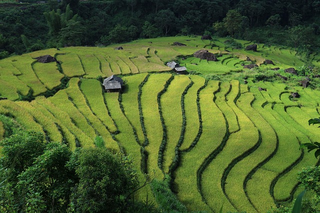 Vietnam Hotels Blending heritage atmosphere with modern ease